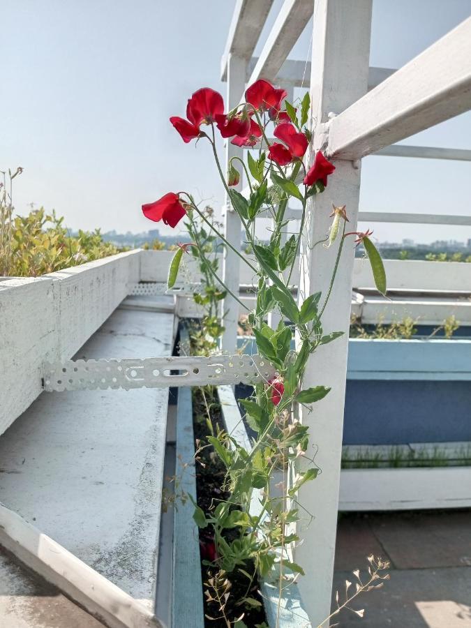 Небольшой Пентхаус С Прекрасным Видом На Город เคียฟ ภายนอก รูปภาพ